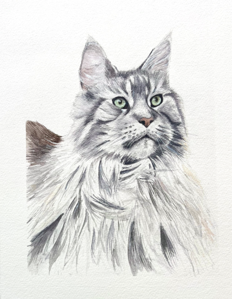 portrait d'animaux sur commande